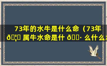 73年的水牛是什么命（73年 🦄 属牛水命是什 🌷 么什么水）